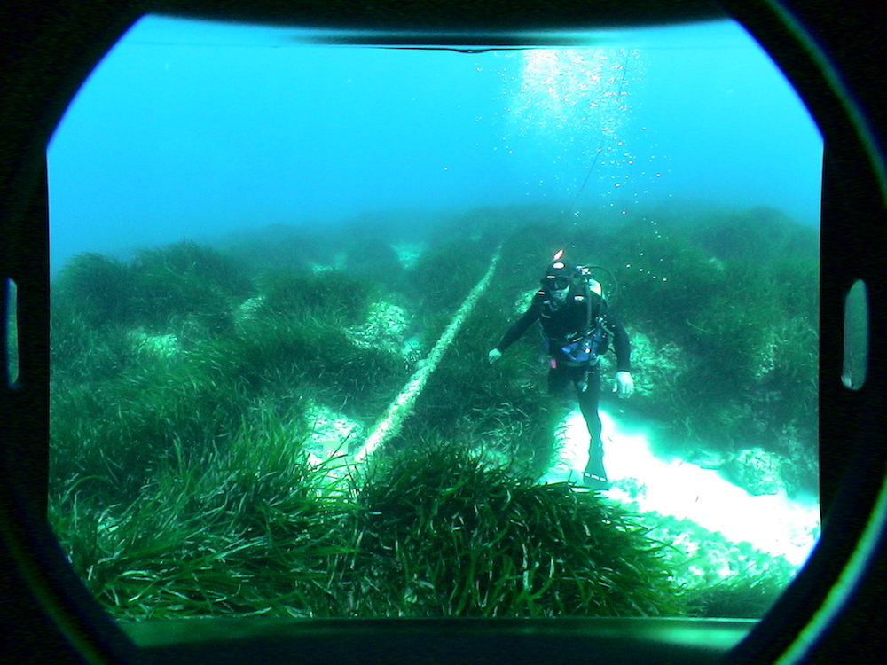 imagen servicios/fotos/